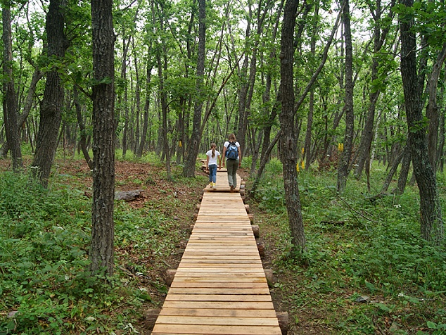 Sihote-Alin Nature Reserve ecological path