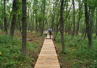 Sihote-Alin Nature Reserve ecological path