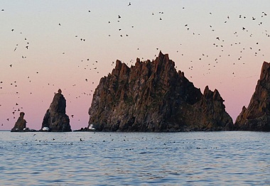 SEA JOURNEY TO THE YAMSKY ISLANDS IN THE OKHOTSK SEA. OBSERVATION OF SEABIRDS AND BEARS IN THE WILDLAND.